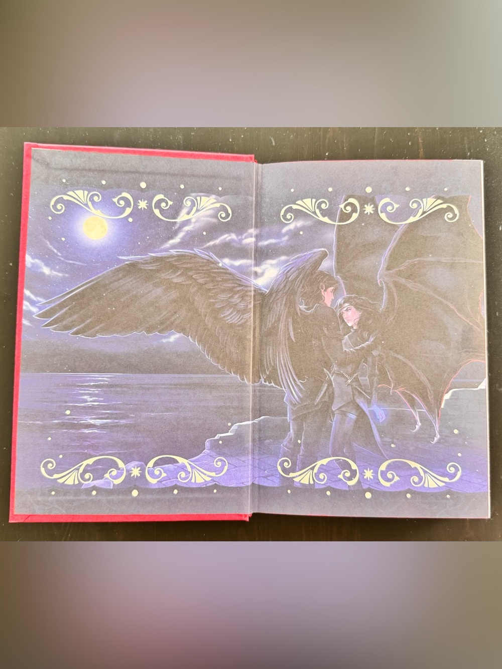 OwlCrate Special Edition of the Crowns of Nyaxia series by Carissa Broadbent - Picture 14 of 16